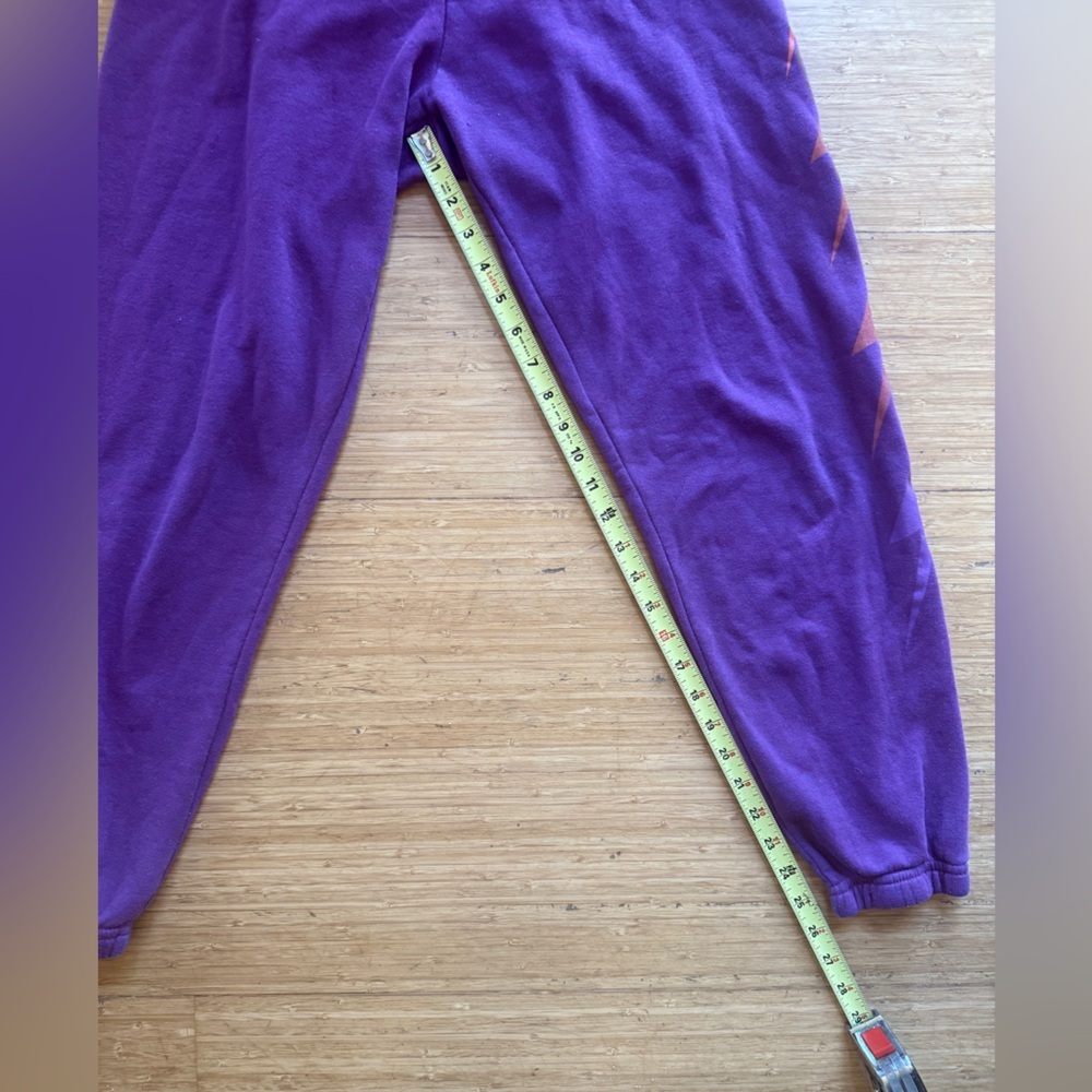 Aviator Nation Volt Sweatpants - Picture 14 of 15
